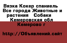 Вязка Кокер спаниель - Все города Животные и растения » Собаки   . Кемеровская обл.,Кемерово г.
